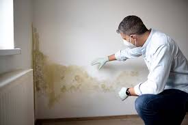 Reliable Havre, MT Mold Remediation Solutions